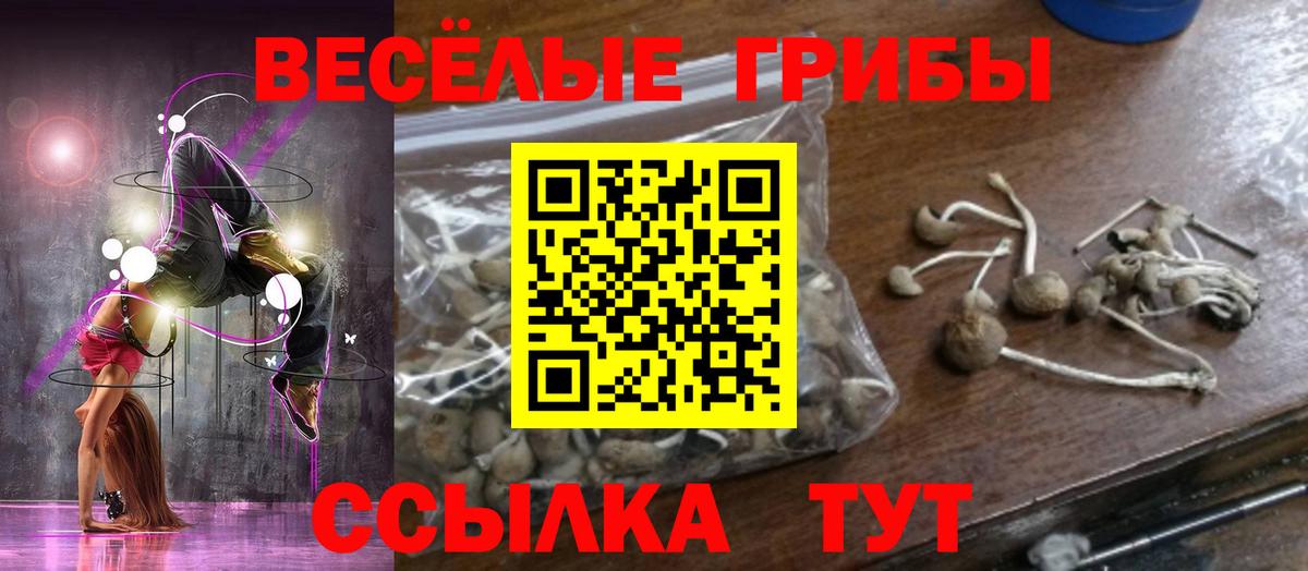 Галлюциногенные грибы ЛСД Лесосибирск